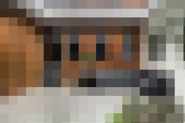 Bleeklaan 31 Leeuwarden thumbnail 18