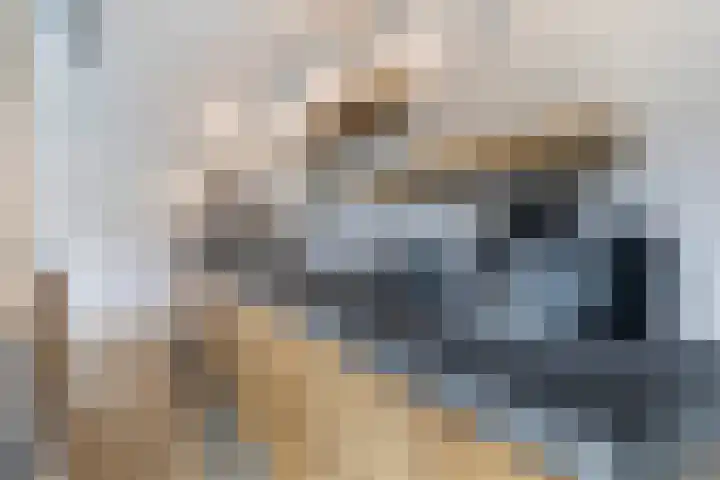 Bleeklaan 31 Leeuwarden thumbnail 25
