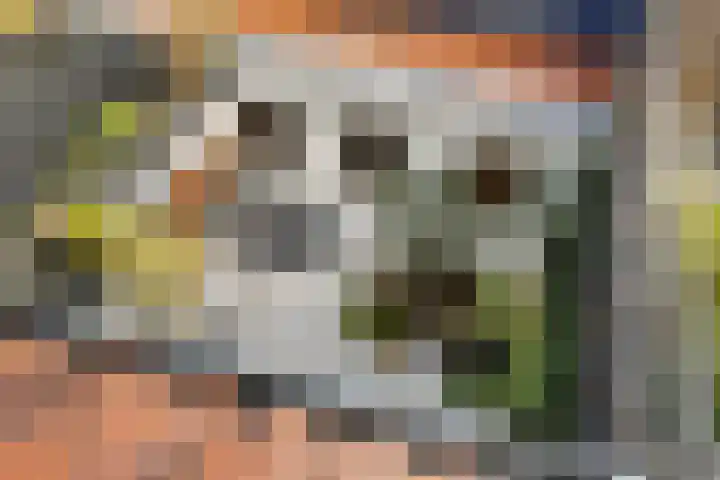 Bleeklaan 31 Leeuwarden thumbnail 44
