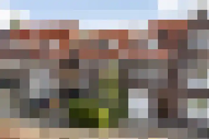 Bleeklaan 31 Leeuwarden thumbnail 55