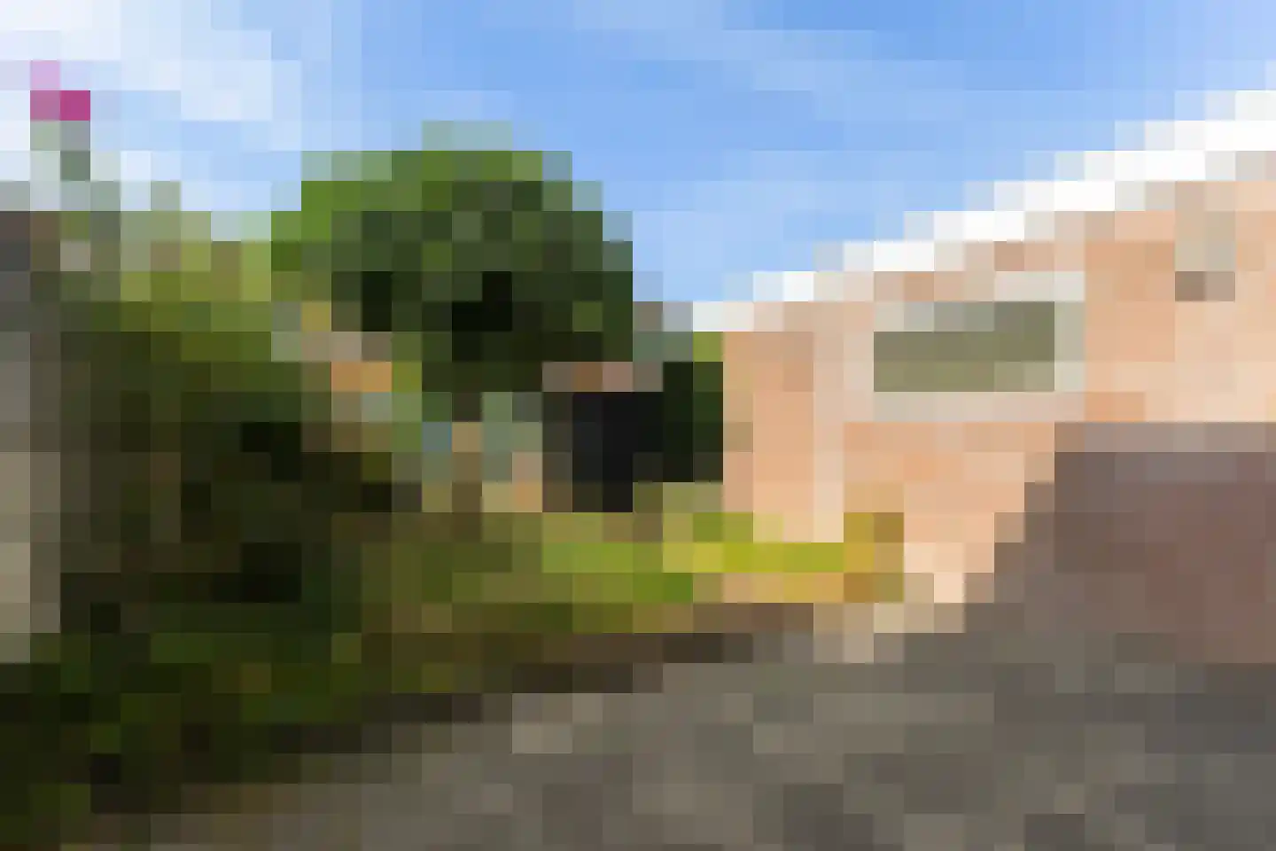 Bleeklaan 36 Leeuwarden thumbnail 24