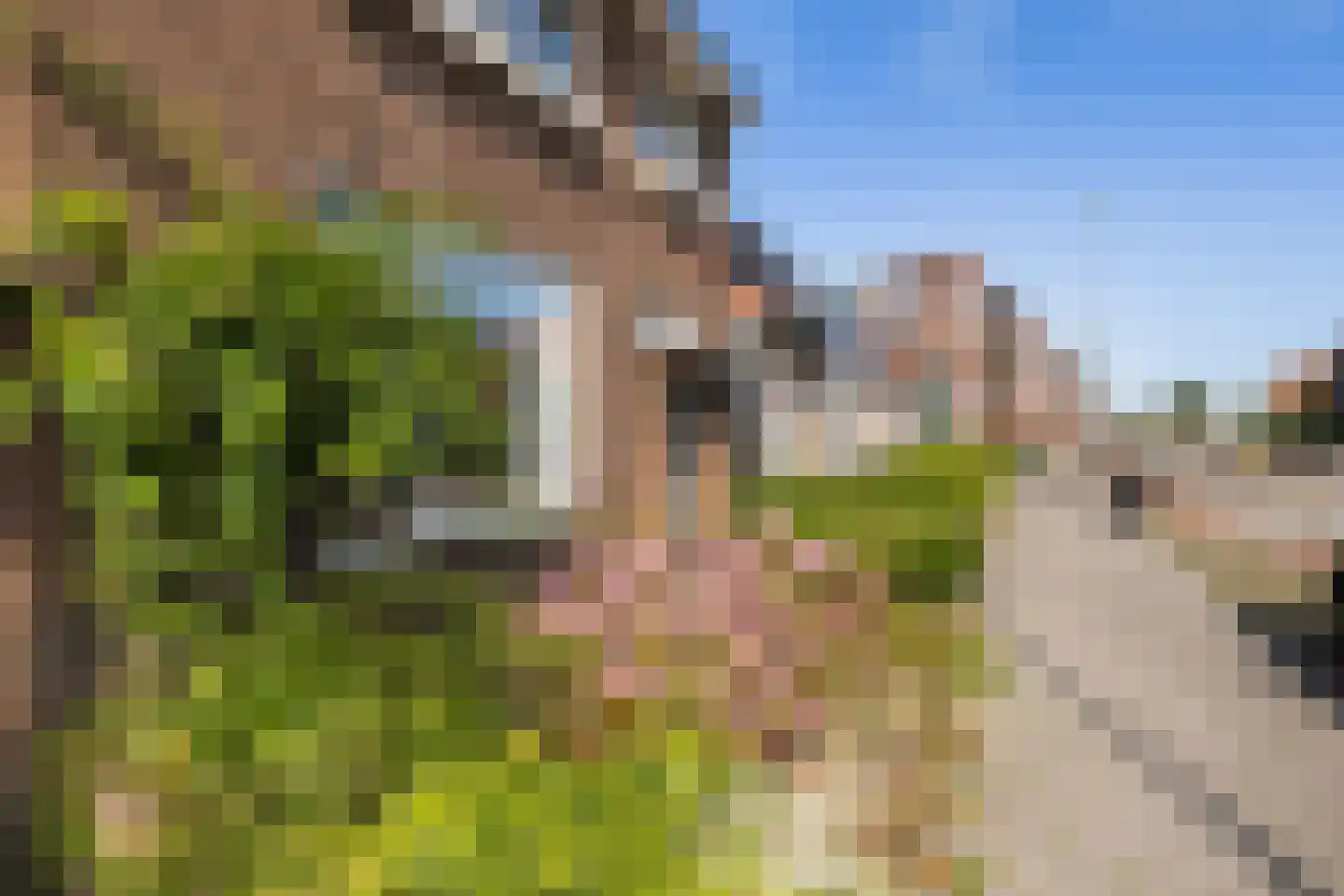 Bleeklaan 36 Leeuwarden thumbnail 7