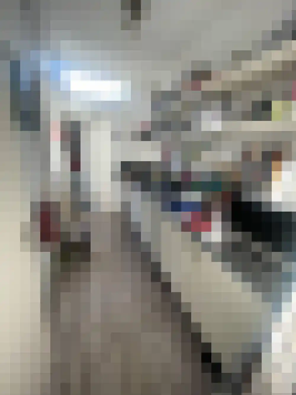 Bleeklaan Leeuwarden thumbnail 6