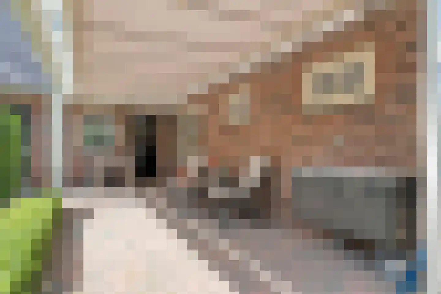 Bleekstraat 1 A Rijssen thumbnail 30