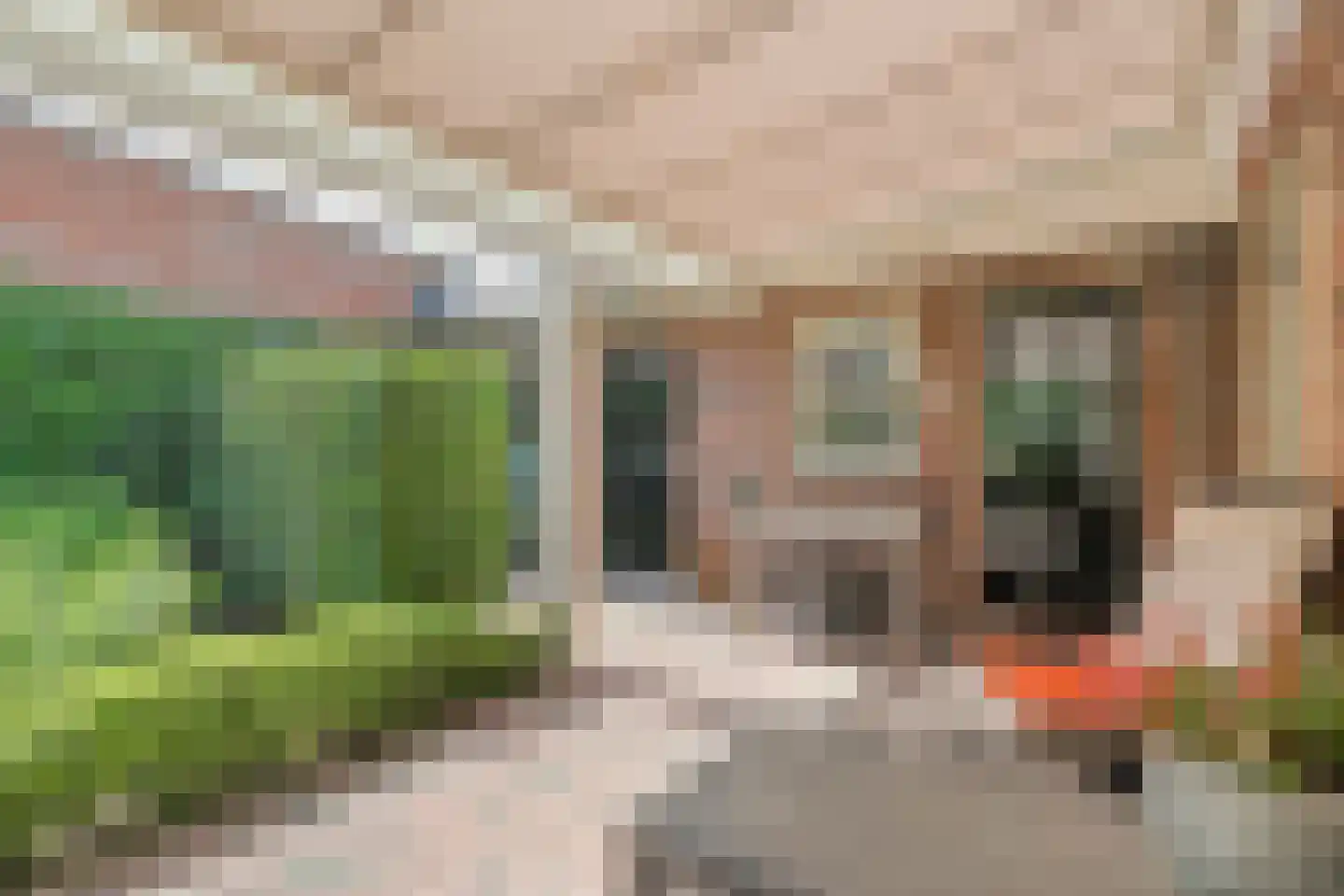 Bleekstraat 1 A Rijssen thumbnail 31