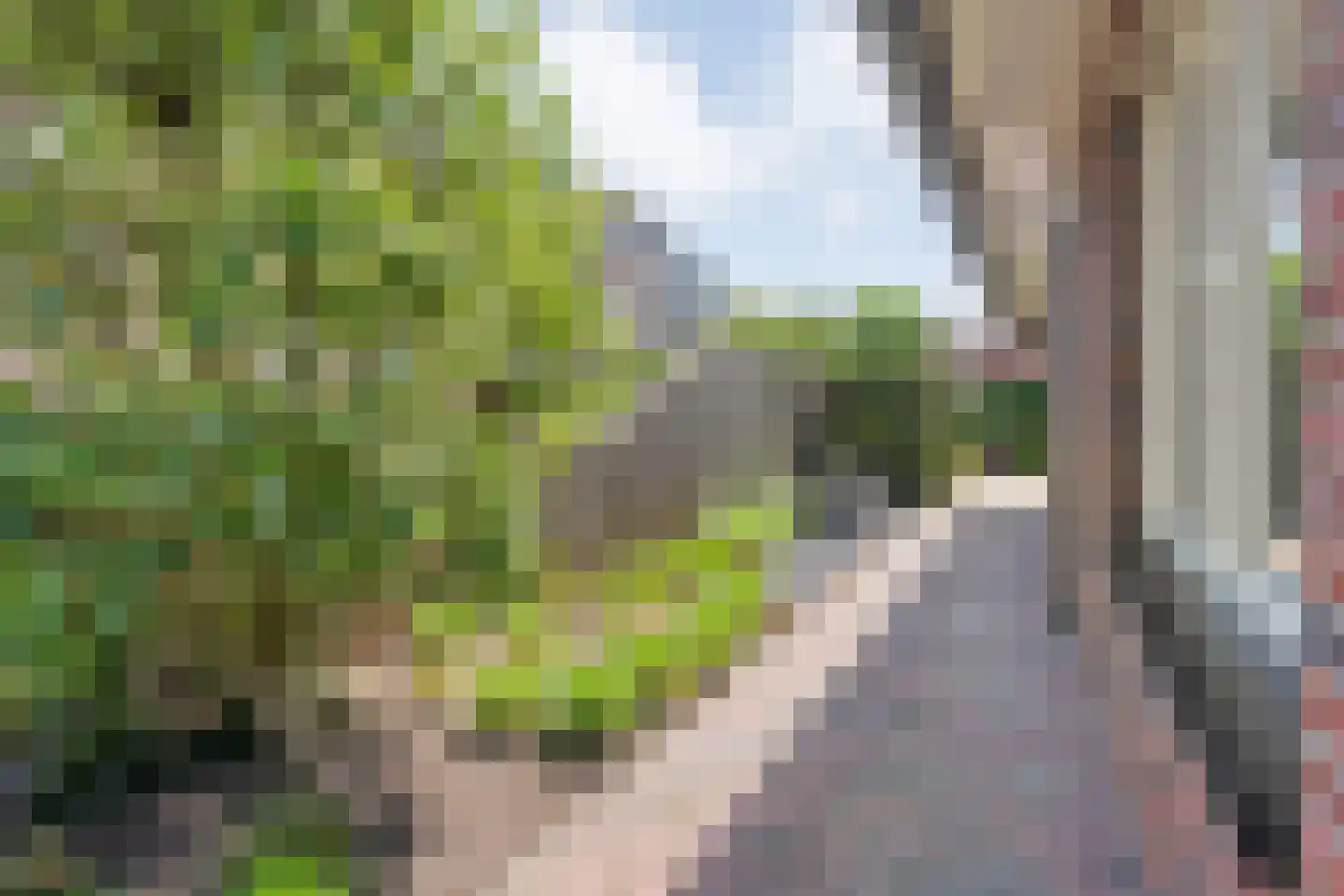 Bleekstraat 1 A Rijssen thumbnail 41