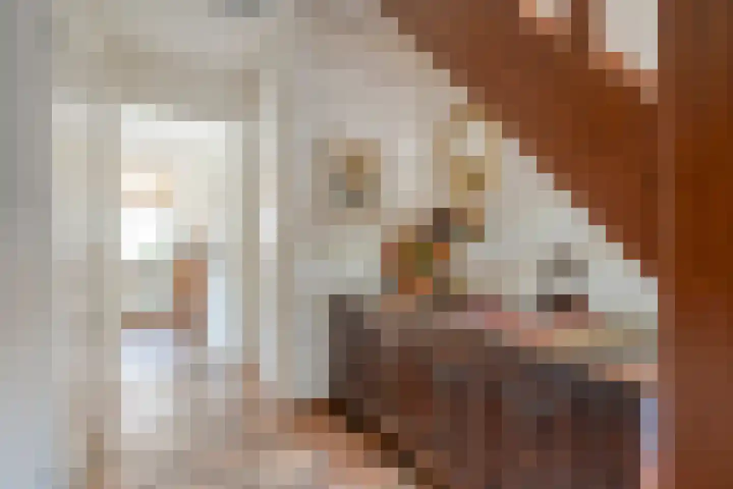 Bleekstraat 1 A Rijssen thumbnail 5