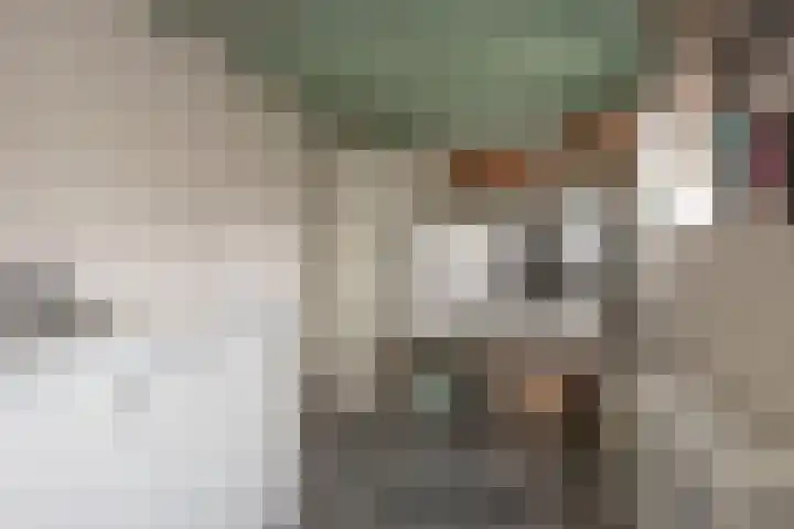 Bleekstraat 10 Rijssen thumbnail 15