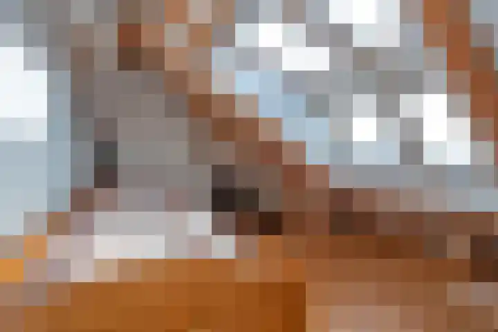 Bleekstraat 10 Rijssen thumbnail 30