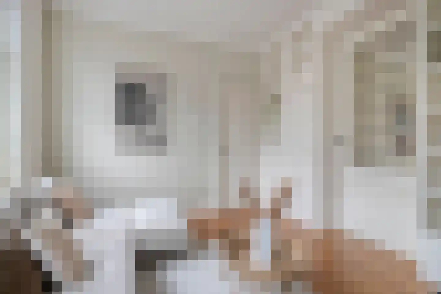 Bleekstraat 11 Eindhoven thumbnail 11