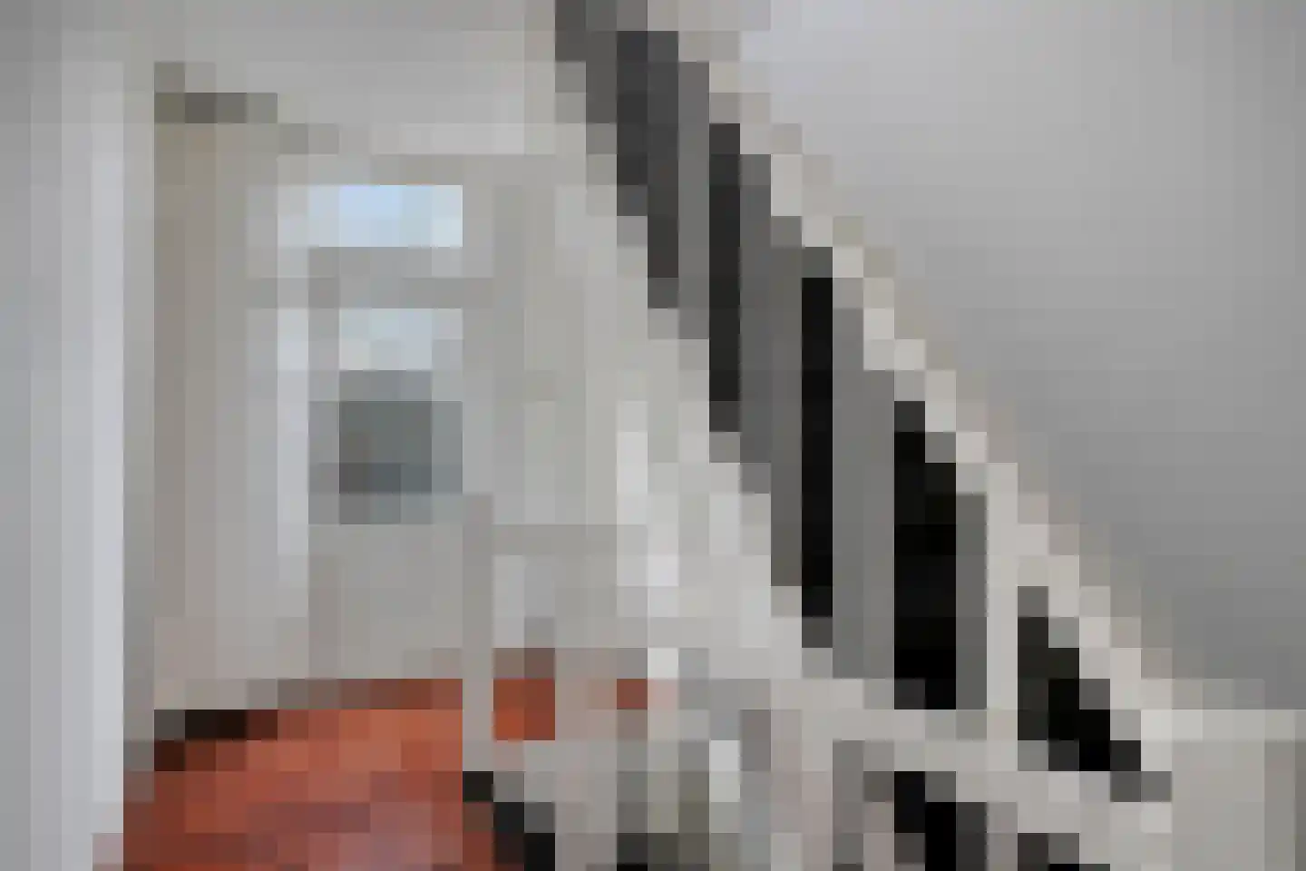 Bleekstraat 11 Eindhoven thumbnail 23