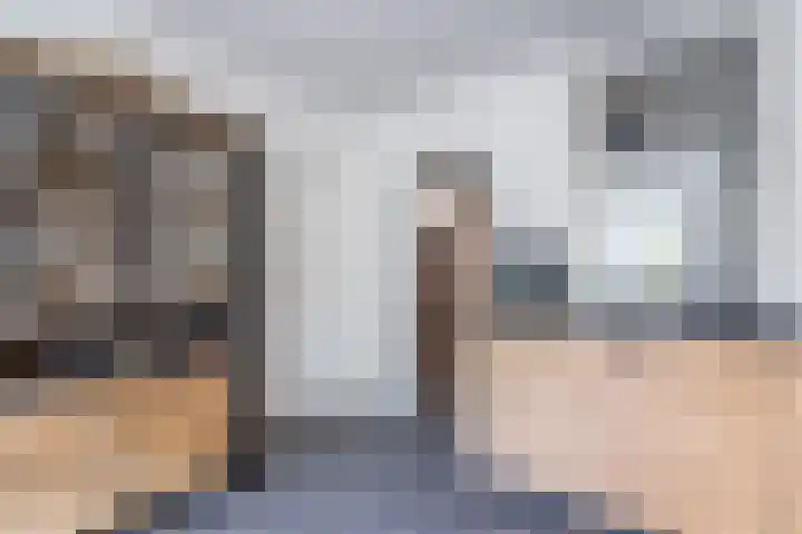 Bleekstraat 13 Stramproy thumbnail 12