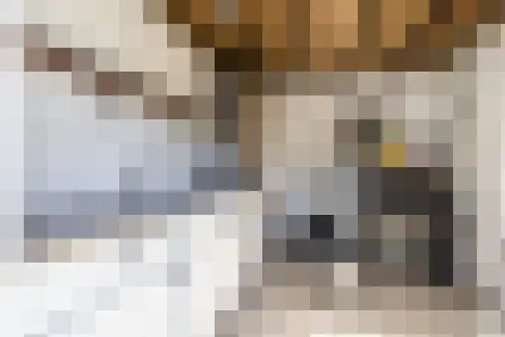 Bleekstraat 13 Stramproy thumbnail 17