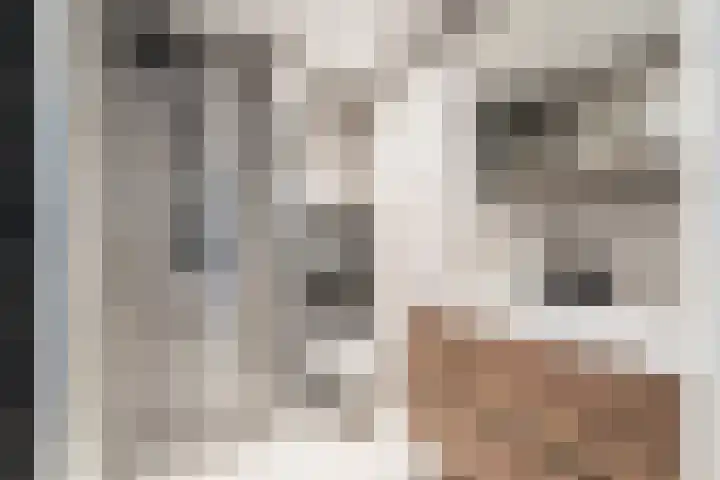 Bleekstraat 13 Stramproy thumbnail 32