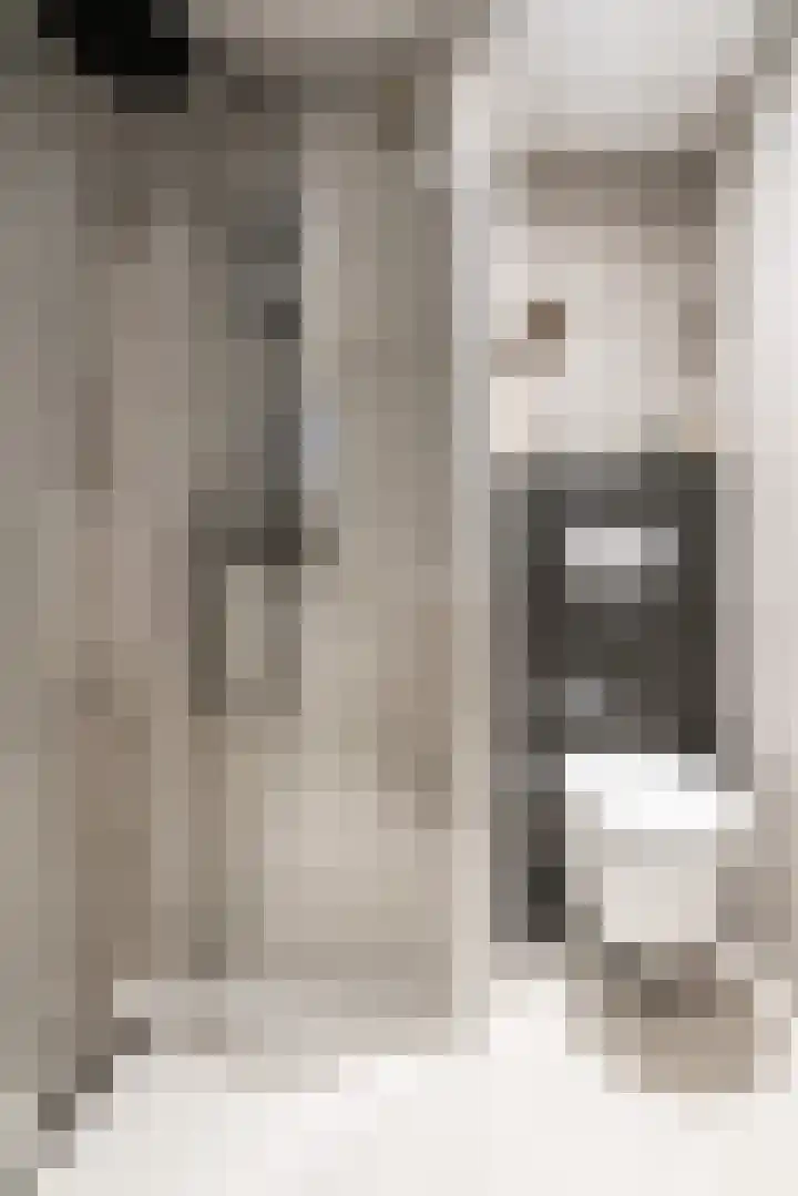 Bleekstraat 13 Stramproy thumbnail 33