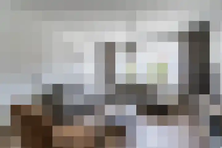 Bleekstraat 13 Stramproy thumbnail 9