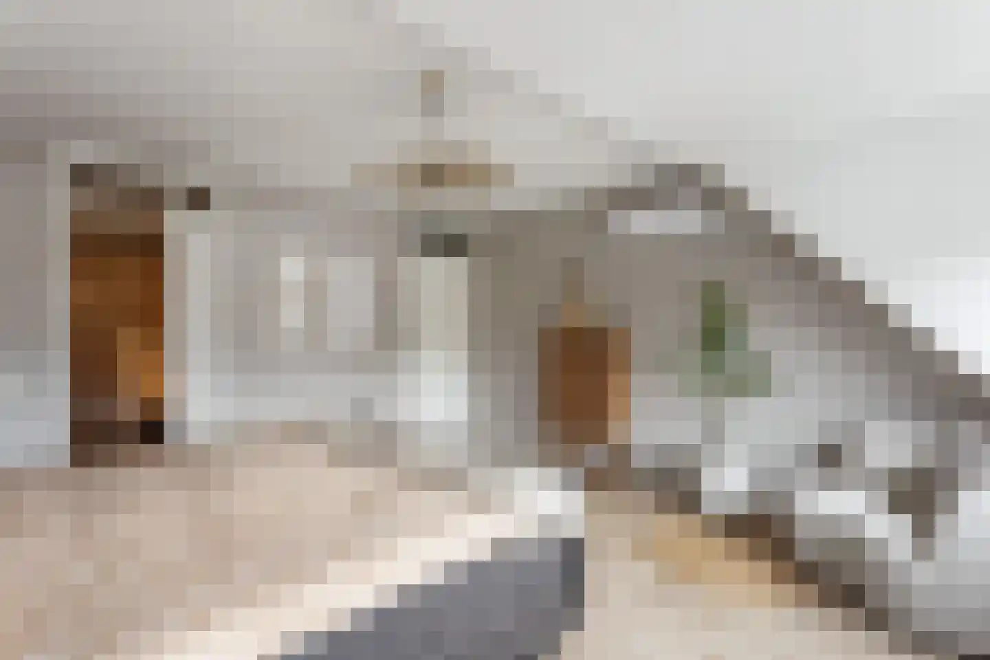 Bleekstraat 22 Oldenzaal thumbnail 17