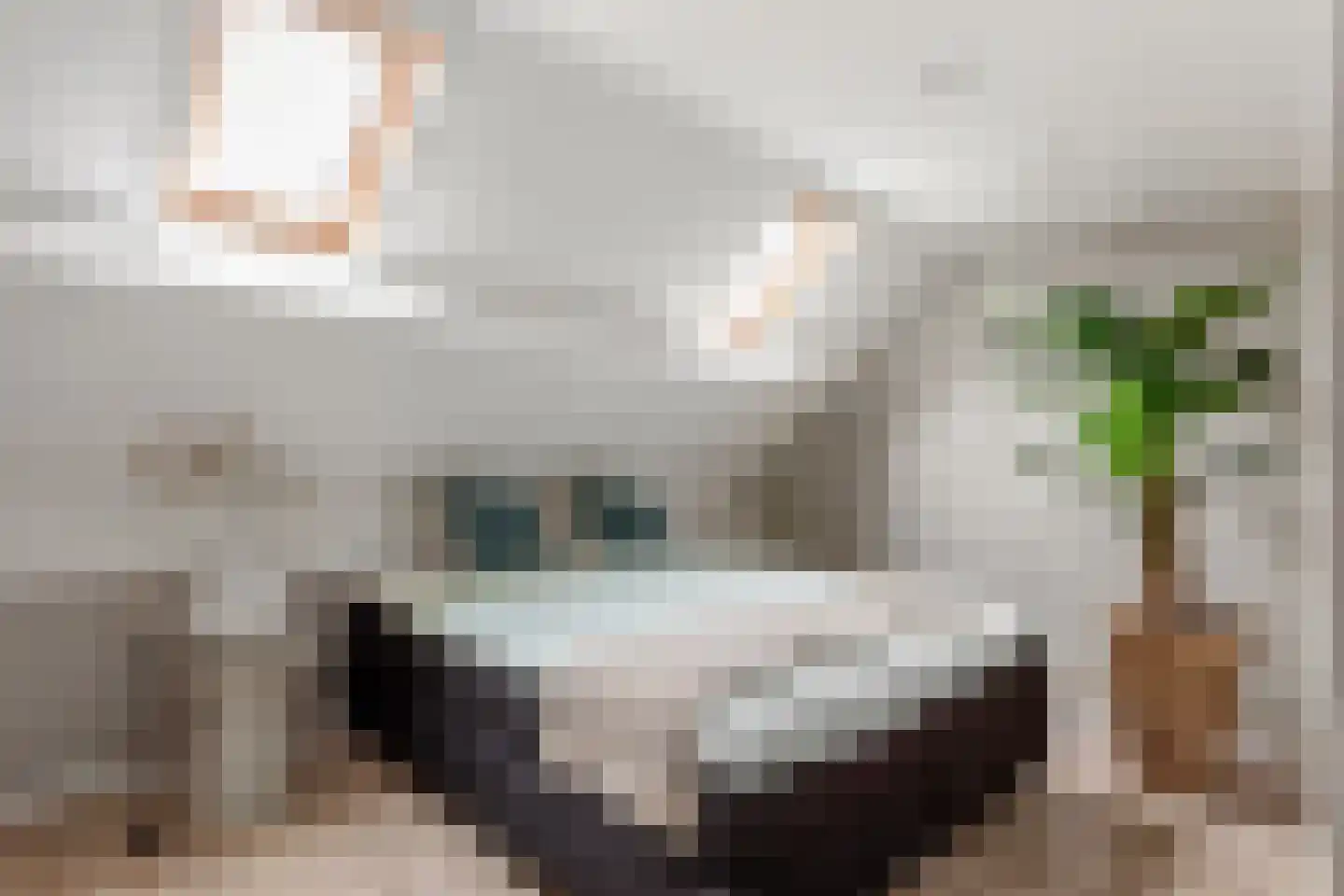 Bleekstraat 22 Oldenzaal thumbnail 19