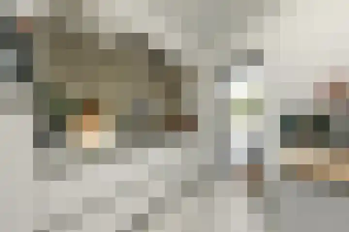 Bleekstraat 34 Makkum thumbnail 17