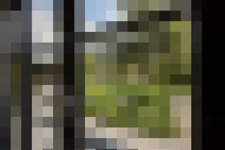 Bleekstraat 34 Makkum thumbnail 30