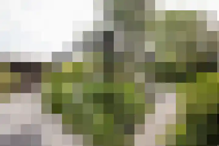 Bleekstraat 34 Makkum thumbnail 31