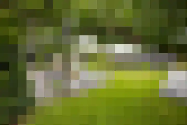 Bleekstraat 34 Makkum thumbnail 32