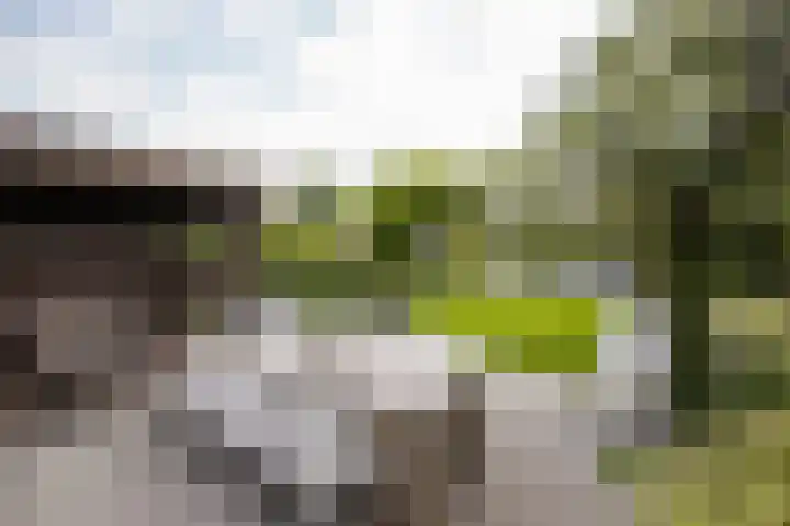 Bleekstraat 34 Makkum thumbnail 33