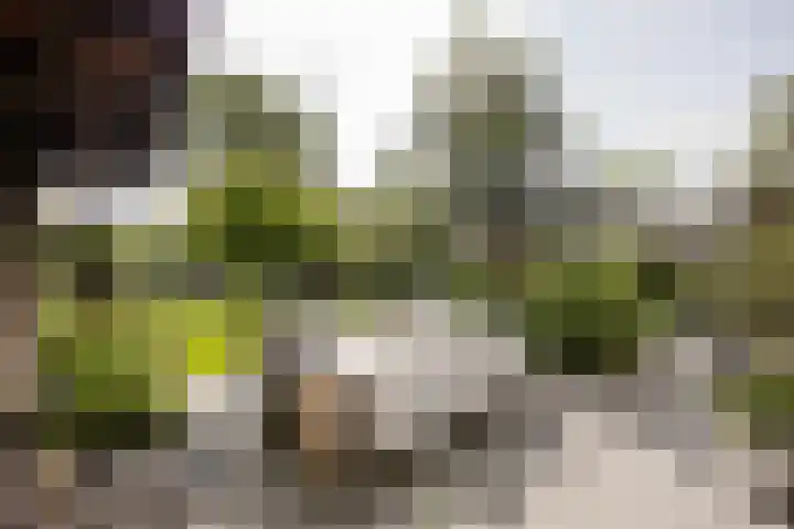 Bleekstraat 34 Makkum thumbnail 34