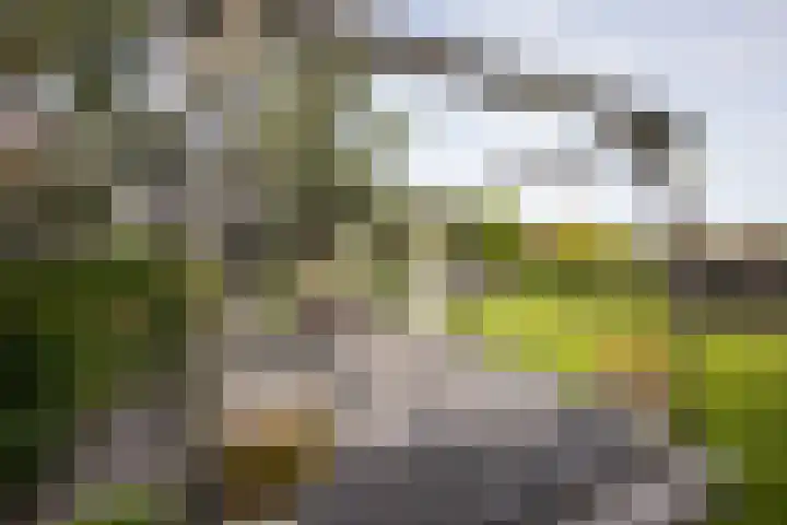 Bleekstraat 34 Makkum thumbnail 35