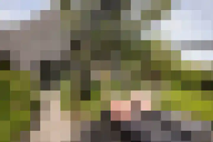 Bleekstraat 34 Makkum thumbnail 36
