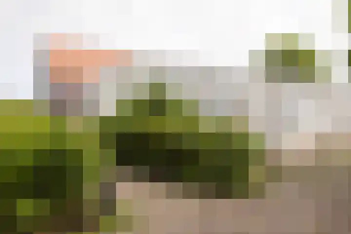 Bleekstraat 34 Makkum thumbnail 37