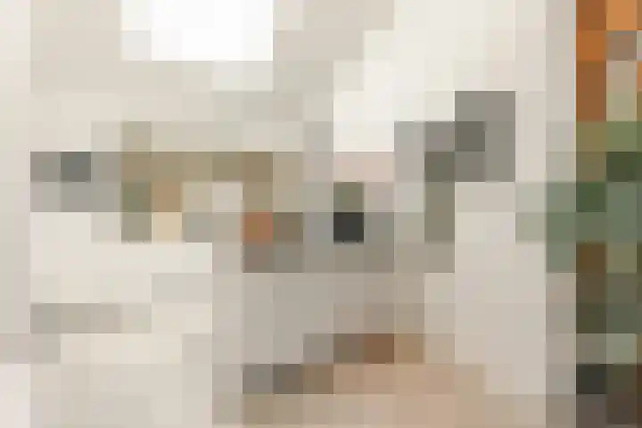 Bleekstraat 34 Makkum thumbnail 4
