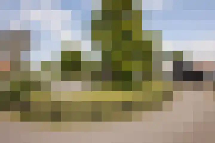 Bleekstraat 34 Makkum thumbnail 5