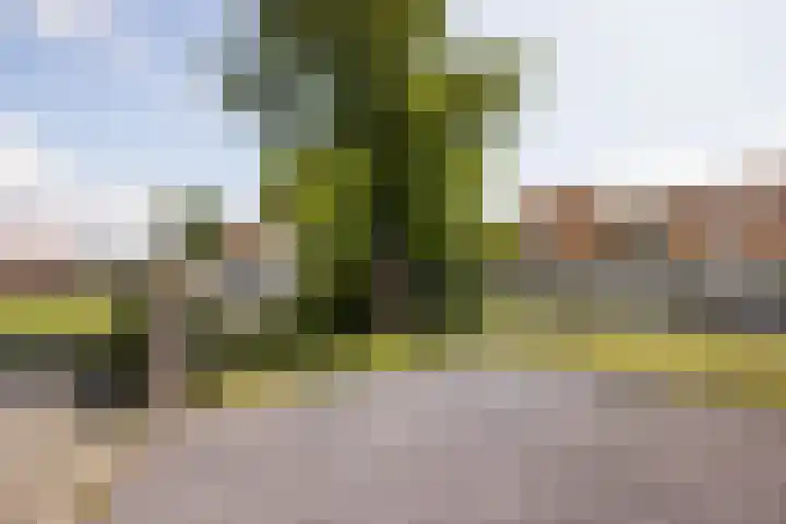 Bleekstraat 34 Makkum thumbnail 6