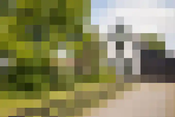 Bleekstraat 34 Makkum thumbnail 8