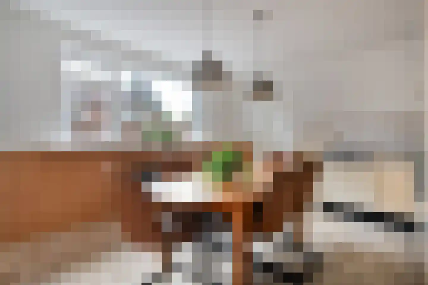 Bleekstraat 34 Rijssen thumbnail 21