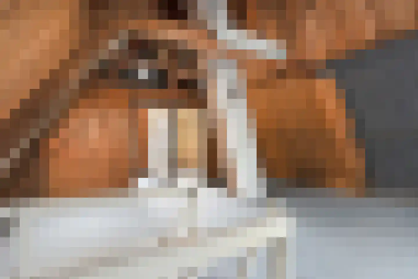 Bleekstraat 34 Rijssen thumbnail 34