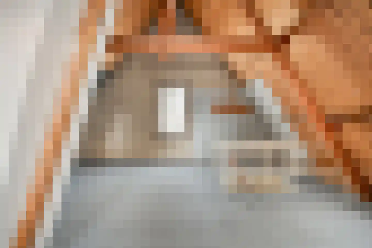 Bleekstraat 34 Rijssen thumbnail 35