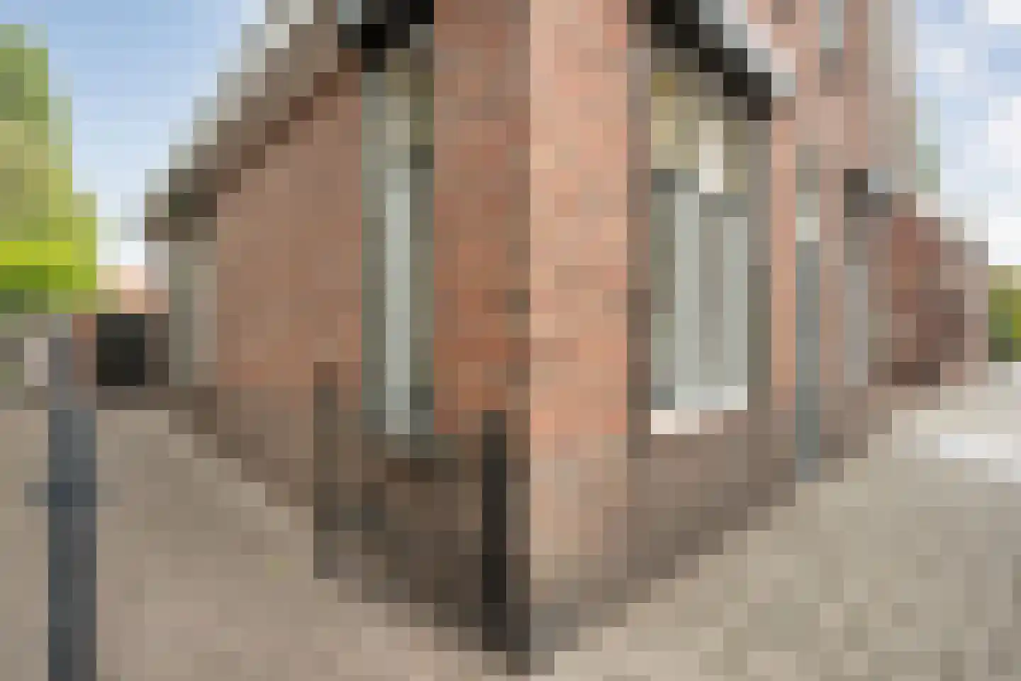 Bleekstraat 34 Rijssen thumbnail 8