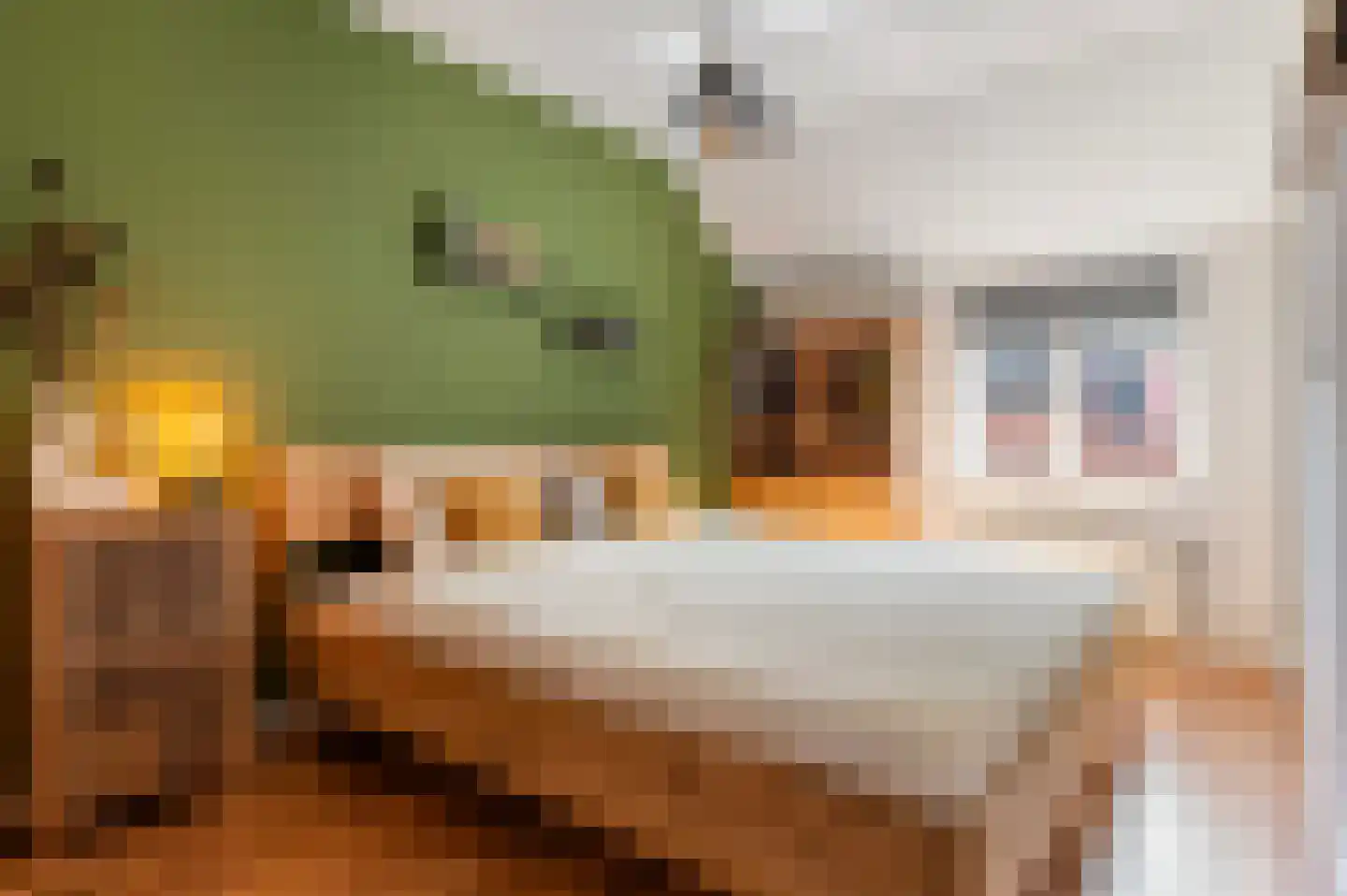 Bleekstraat 39 Goor thumbnail 17