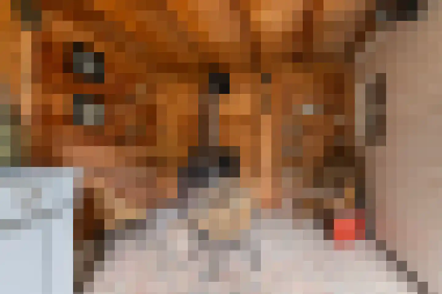 Bleekstraat 39 Goor thumbnail 30
