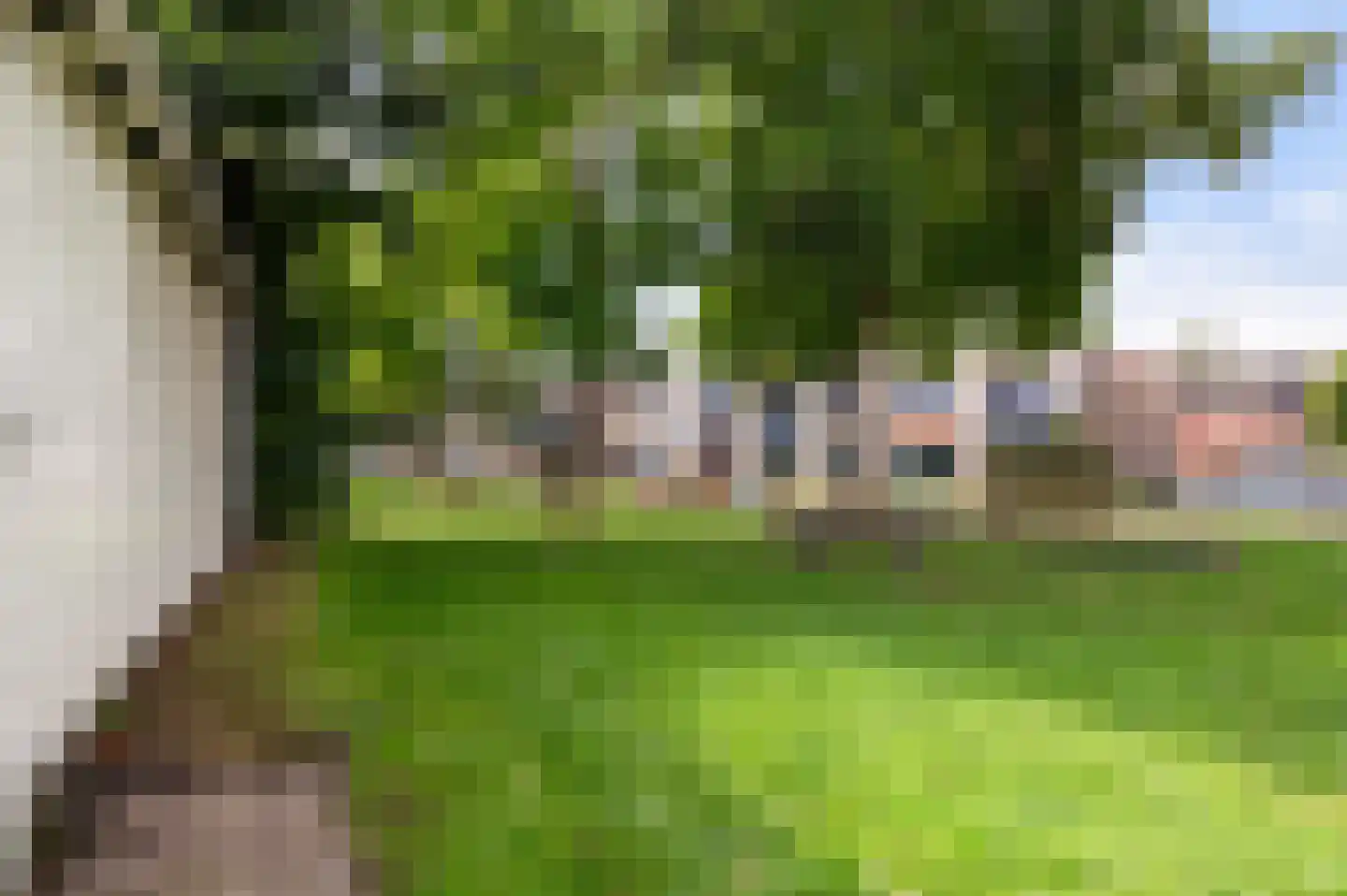 Bleekstraat 39 Goor thumbnail 32