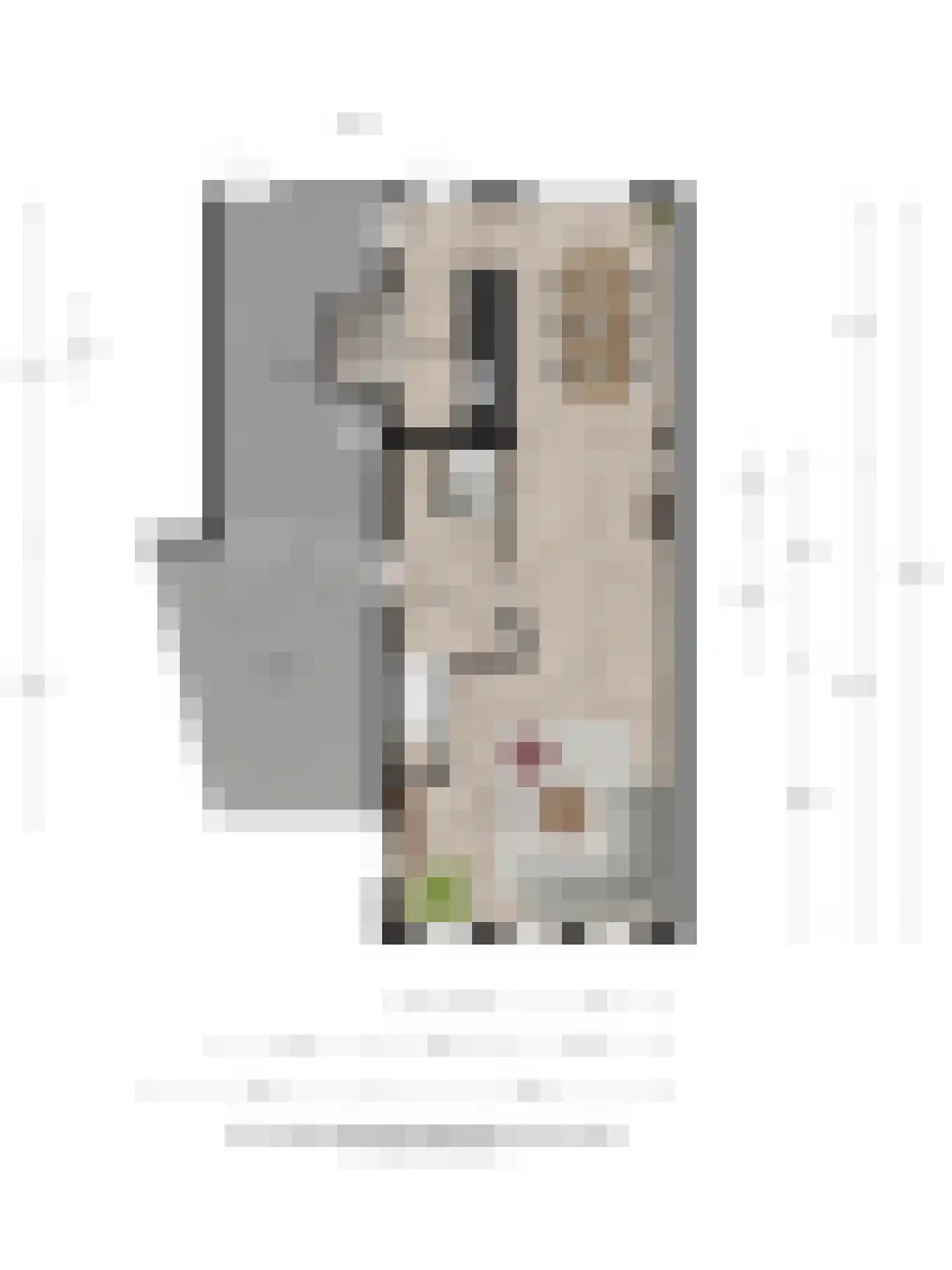 Bleekstraat 39 Goor thumbnail 33