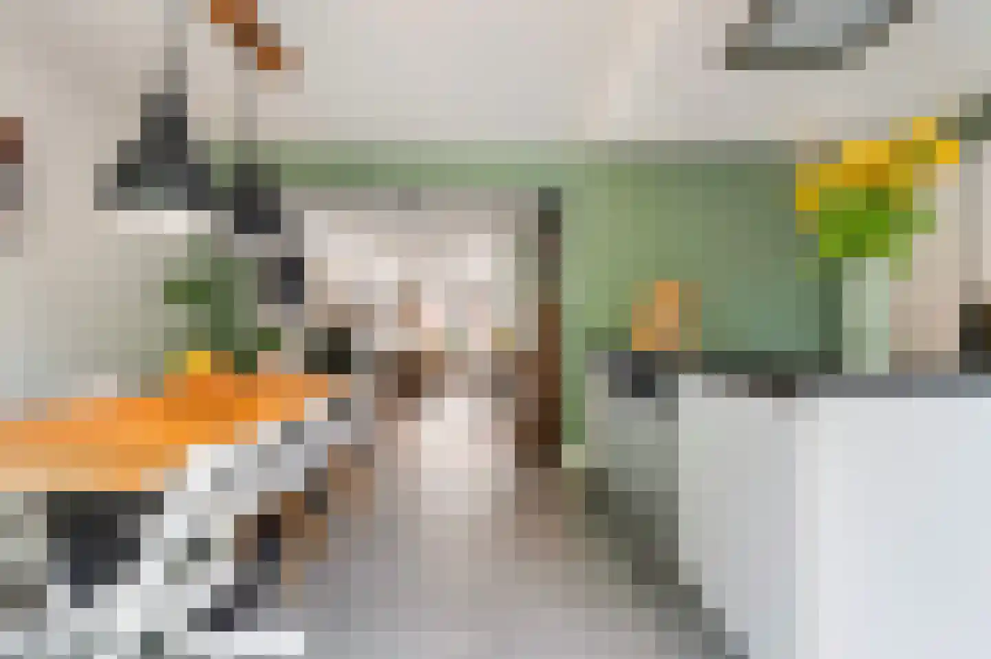 Bleekstraat 39 Goor thumbnail 9