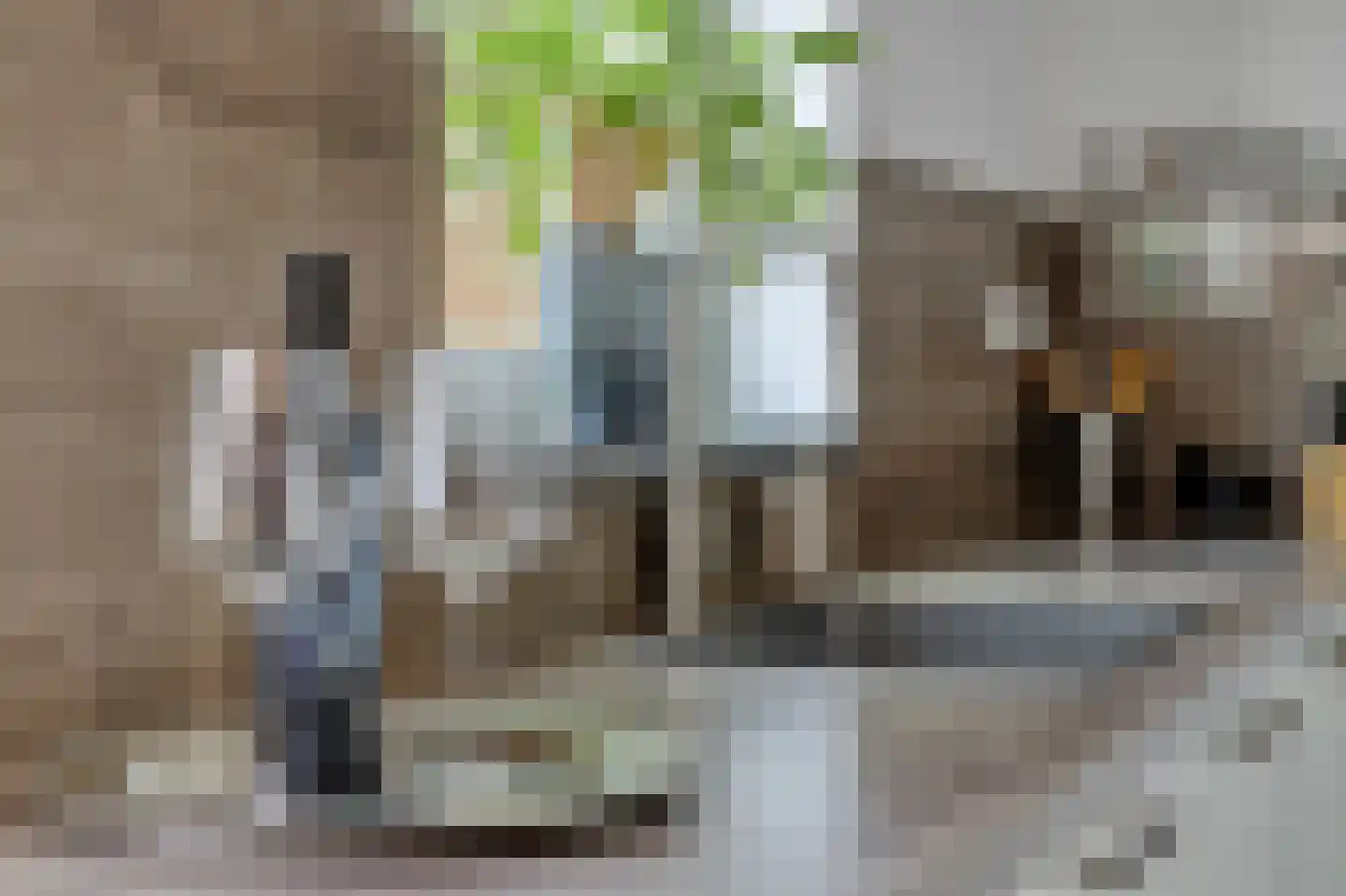 Bleekstraat 4 Vught thumbnail 11