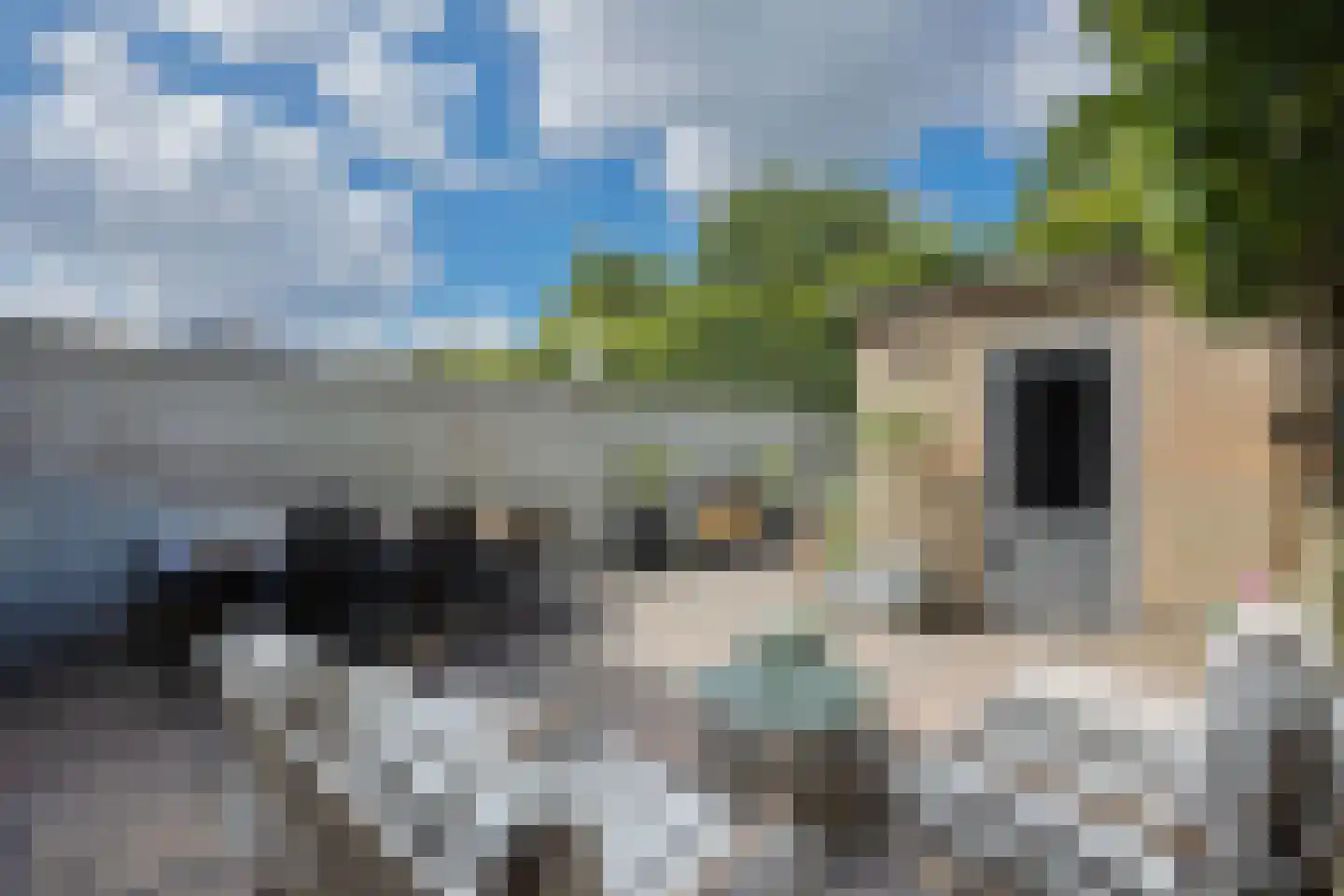 Bleekstraat 4 Vught thumbnail 18