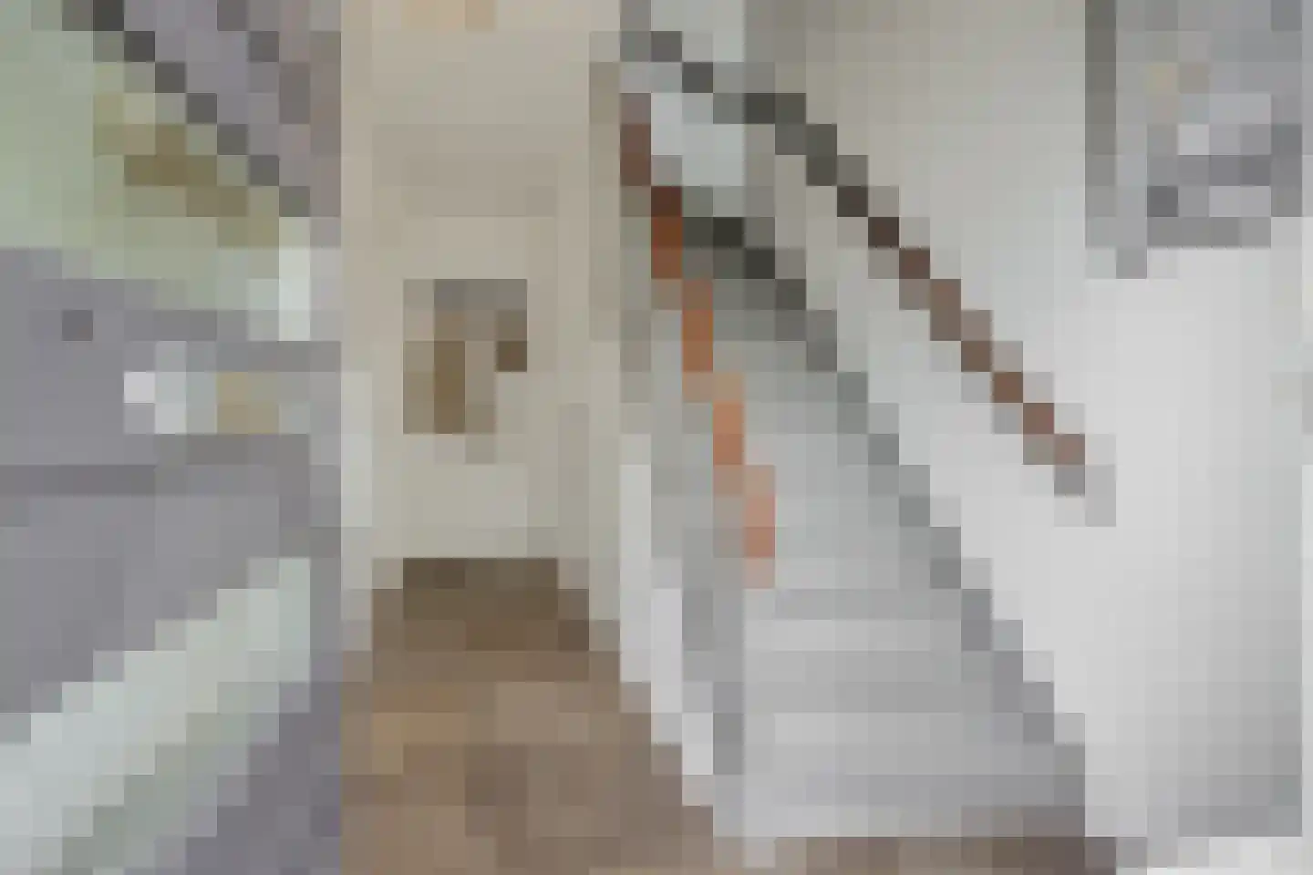 Bleekstraat 4 Vught thumbnail 22