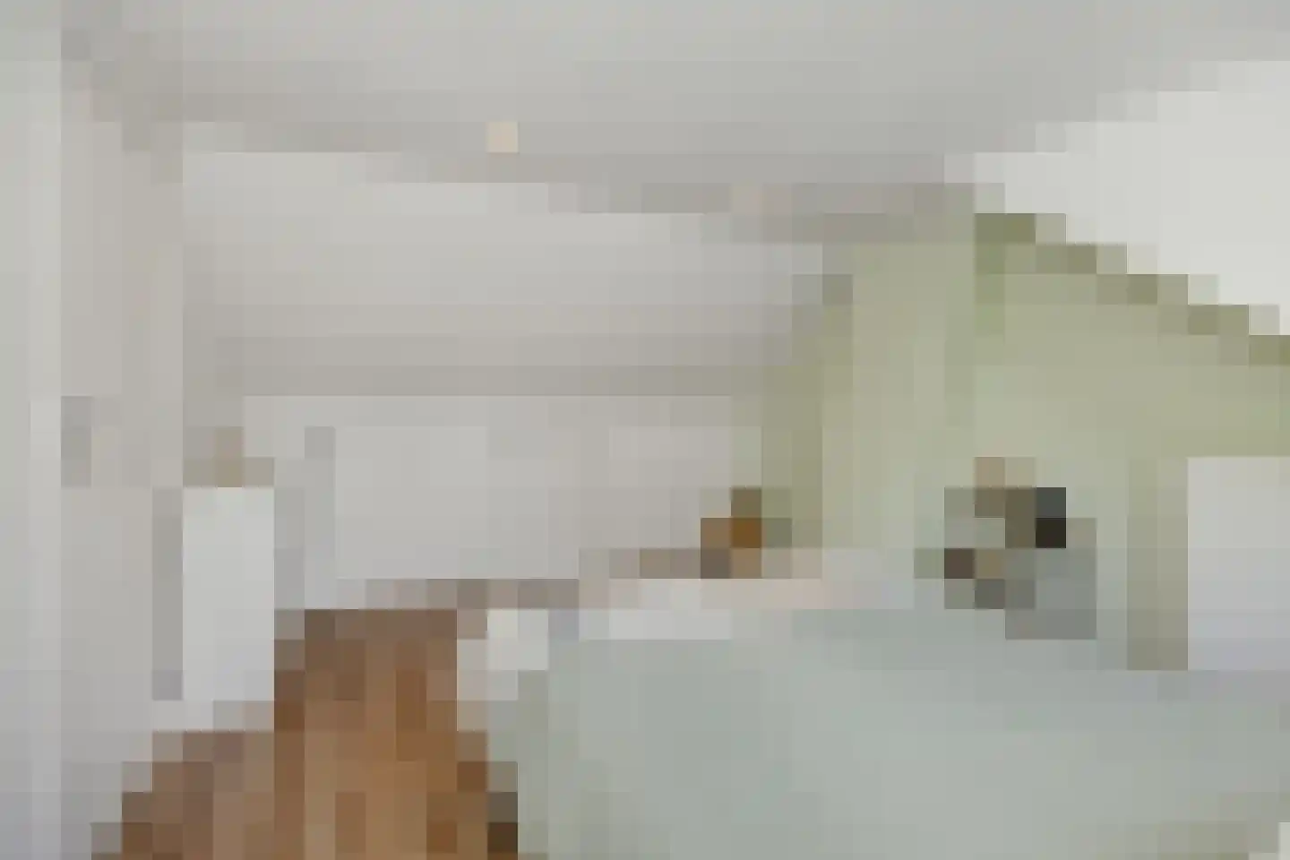 Bleekstraat 4 Vught thumbnail 36