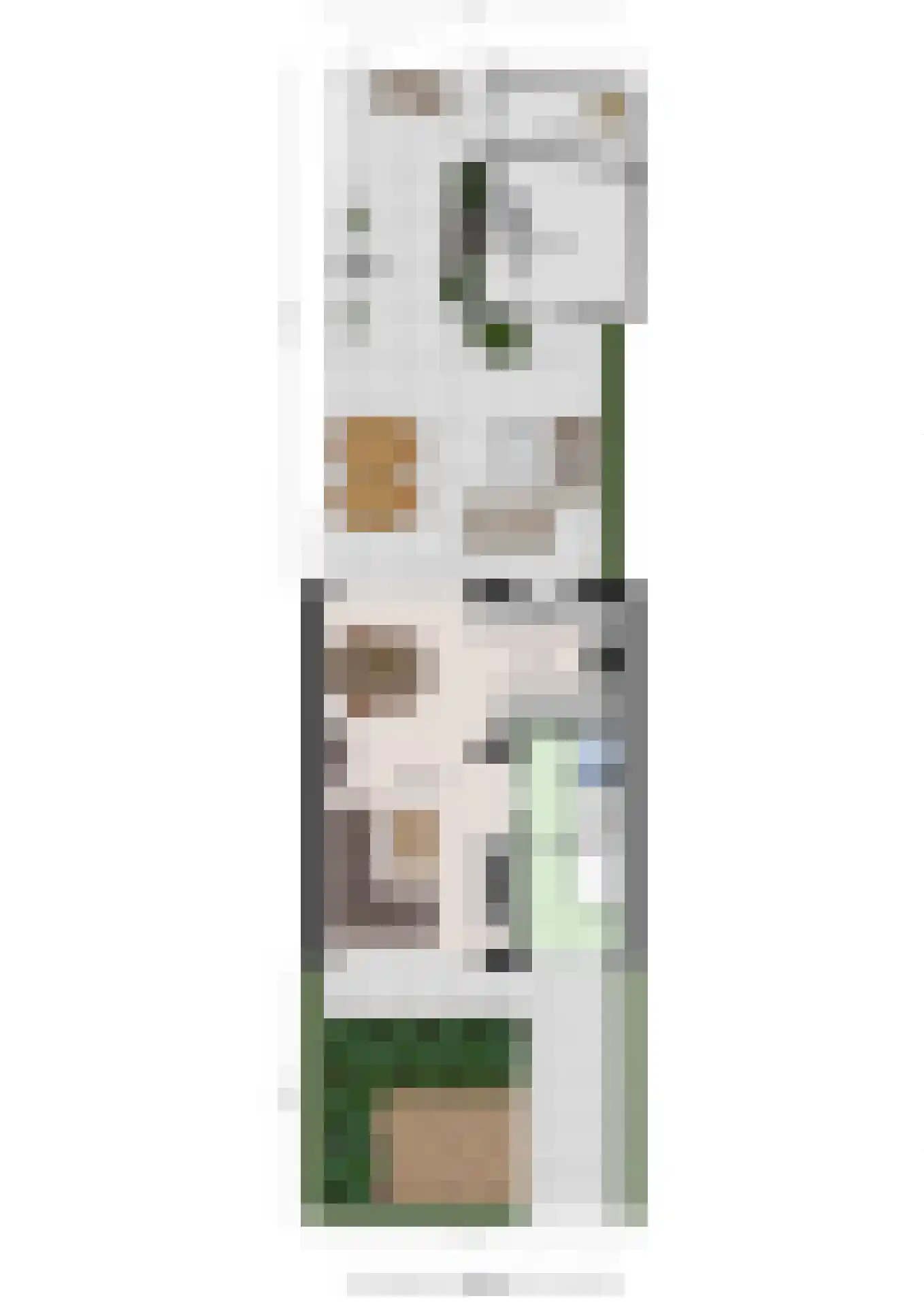 Bleekstraat 4 Vught thumbnail 42