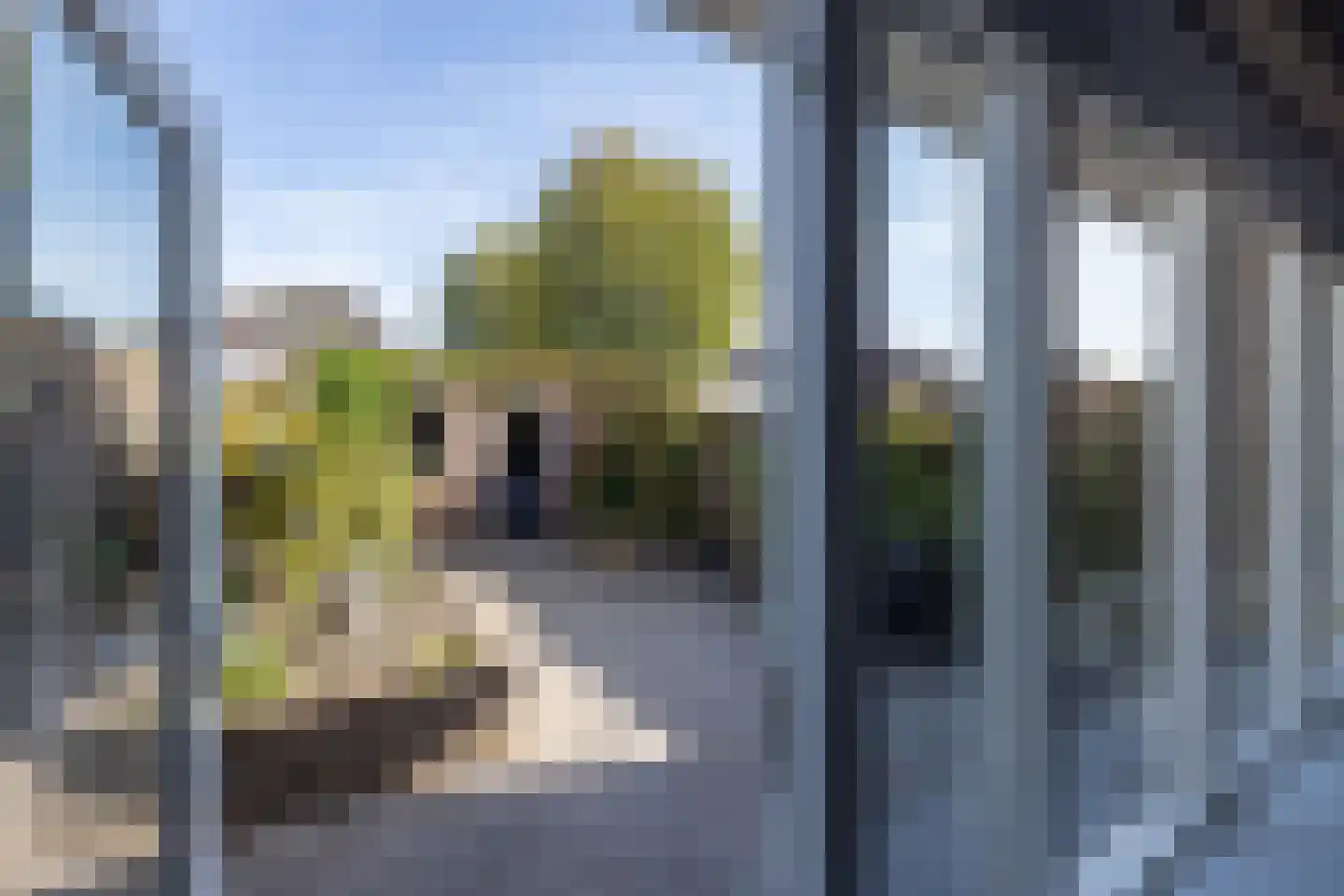 Bleekstraat 42 Oldenzaal thumbnail 24